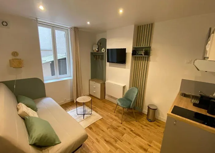 Fully Equipped Studio Perrache Confluence District Practical & Centra